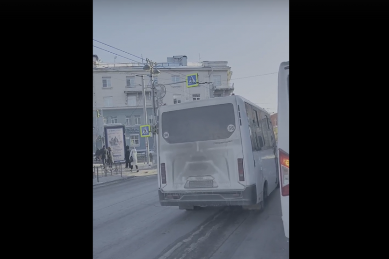 Маршрутка и пешеходы Скриншот с видео из соцсетей