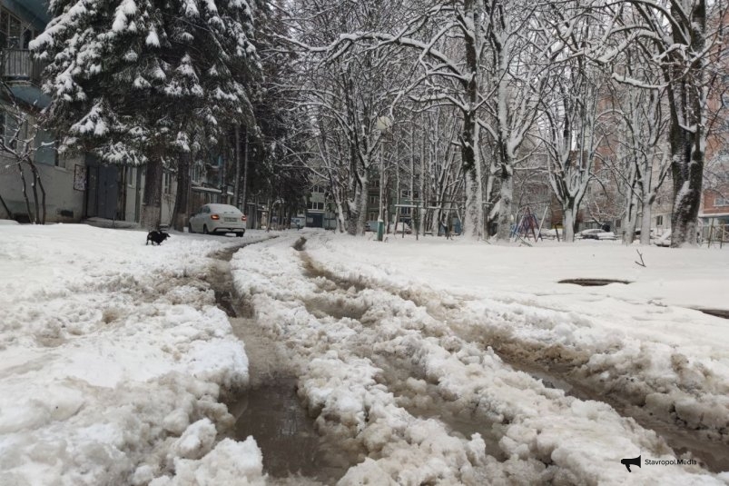 Снегопад накрыл Ставрополье ИА Stavropol.Media