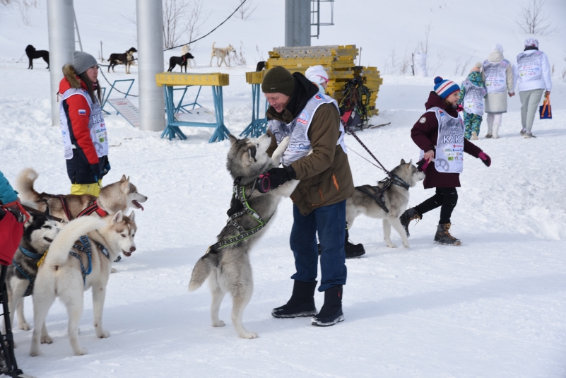 Каюр с собакой. Берингия-2021 Анастасия  Табачинская , ИА KamchatkaMedia