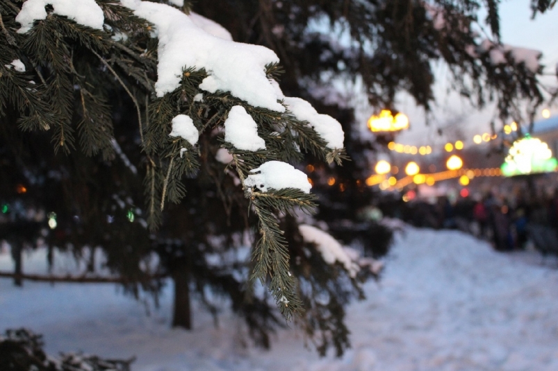 Снежок на елке Кирилл Роткин, ИА IrkutskMedia
