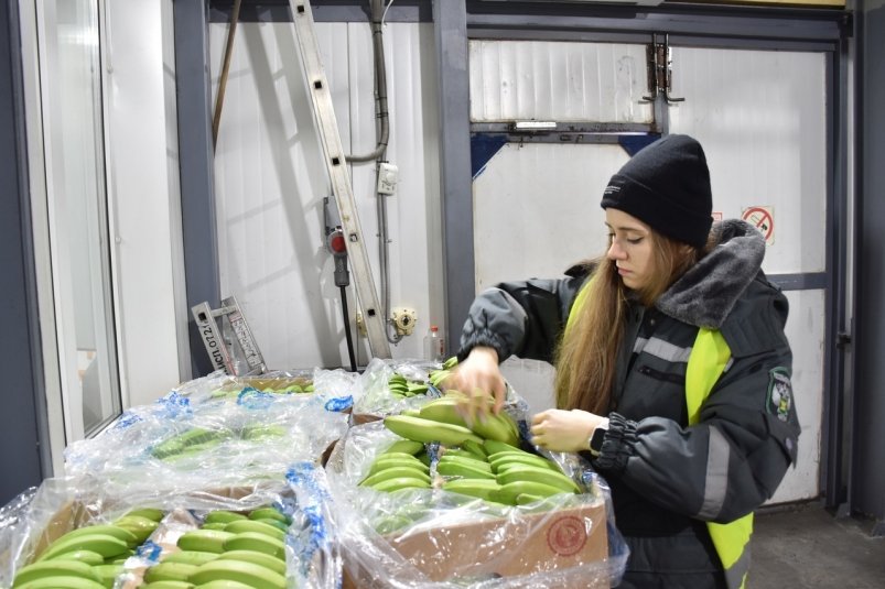 За неделю почти в два раза вырос импорт в Приморье бананов из Эквадора Приморское межрегиональное управление Россельхознадзора