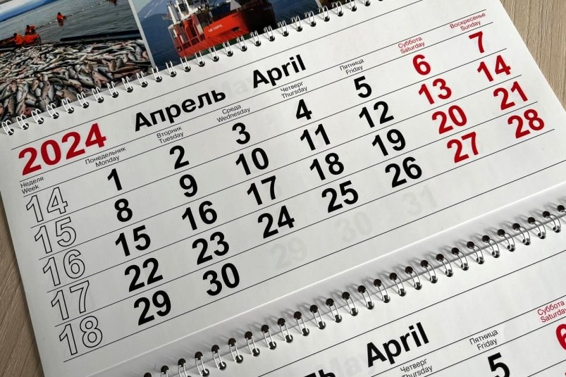 День в календаре, апрель 2024 года KamchatkaMedia
