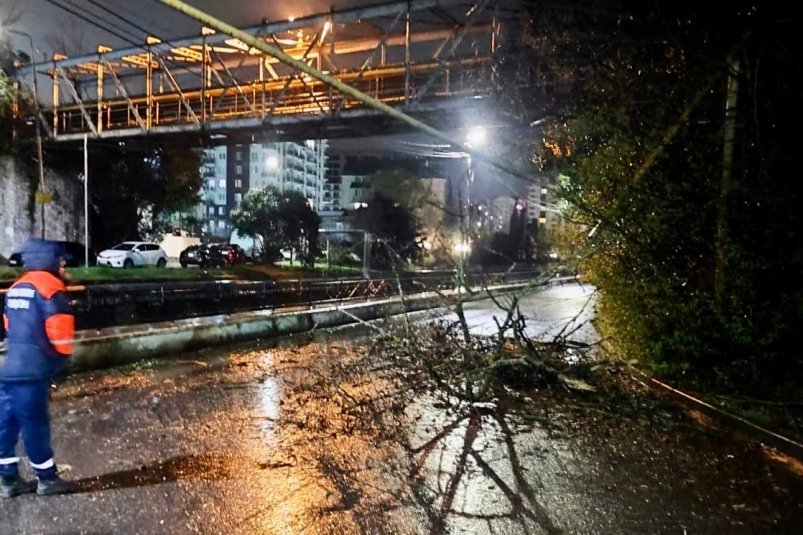 Последствия "атаки" ночного шторма устраняют в Сочи Пресс-служба администрации Сочи