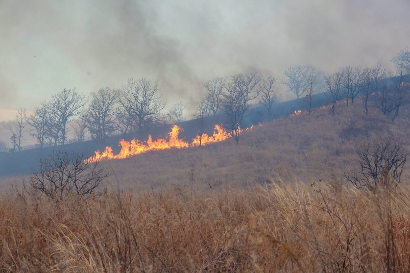 Два природных пожара зафиксировали в УГО за минувшие сутки Евгений Кулешов, ИА PrimaMedia