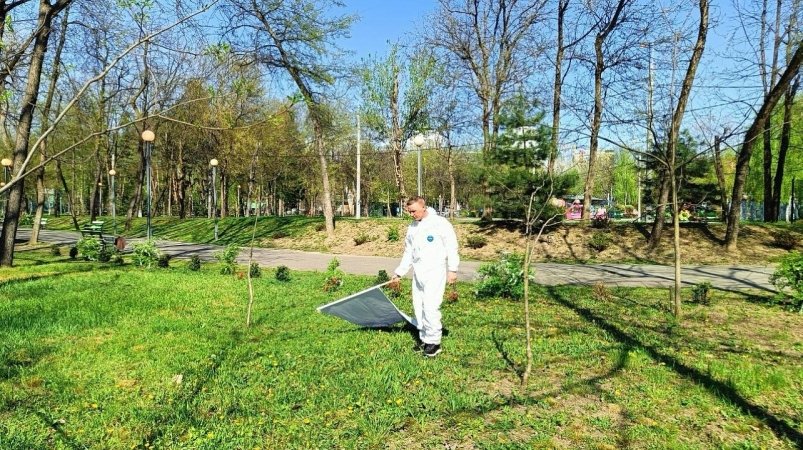 В эти дни в парки Краснодара лучше не ходить – начинается обработка от клещей Пресс-служба "Краснодарские парки"