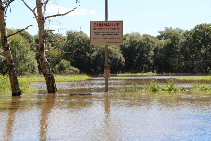 Гидролог объяснил, как уменьшить ущерб от наводнений Ольга Брютова, ИА UssurMedia