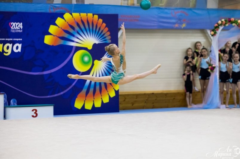 Сайт федерации художественной гимнастики