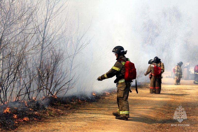 Более 50 сотрудников МЧС тушили два ландшафтных пожара в Хабаровском крае Пресс-служба МЧС России по Хабаровскому краю
