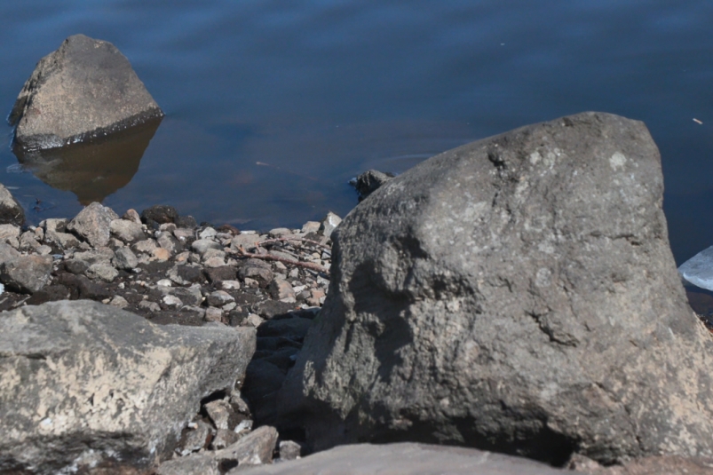 Мониторинговые мероприятия проводятся на Халактырском озере в столице Камчатки Официальный сайт Камчатского края
