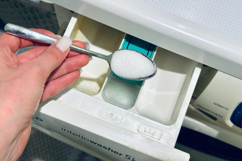 Тематическое фото ИА PrimaMedia