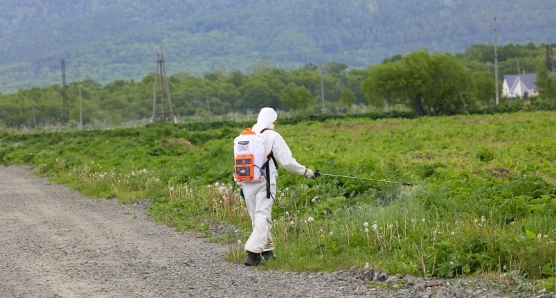 В Южно-Сахалинске очистили порядка 200 га земли от борщевика пресс-служба администрации Южно-Сахалинска