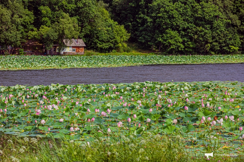 Озеро в селе Дубовый ключ Мария Бородина, ИА PrimaMedia