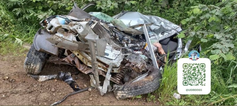 Водитель Chevrolet Niva погиб в ДТП с грузовиком УГИБДД УМВД России по Сахалинской области