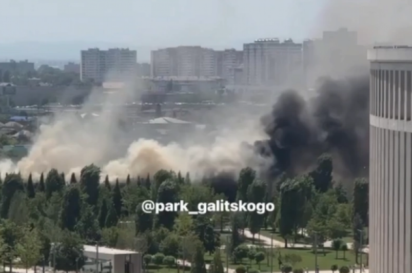 Скриншот видео соцсети парка Галицкого