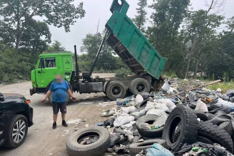 Водитель грузовика систематически выбрасывал мусор в лесу Соцсети