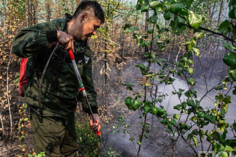 Около 24 тысяч горящего леса удалось потушить в Якутии за сутки сайт главы и правительства республики