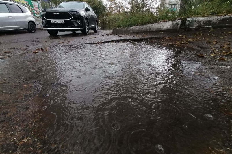 Лужа Абрамченко Анета