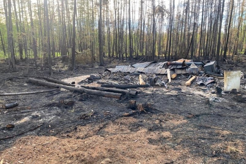 Виновник лесного пожара в Якутии заплатит 600 тысяч рублей Прокуратура Республики Саха (Якутия)