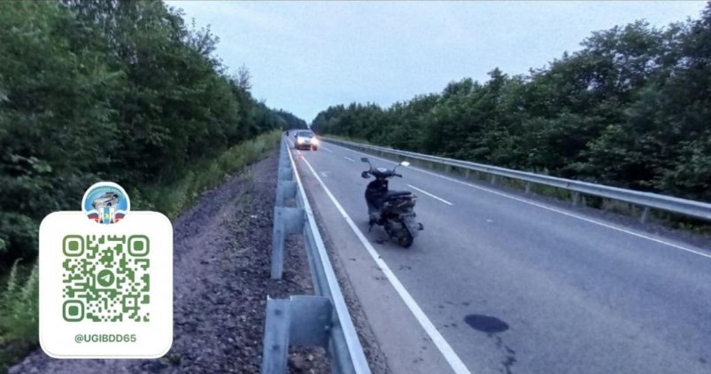 В Ногликском районе мужчина на мопеде врезался в дорожное ограждение УГИБДД УМВД России по Сахалинской области