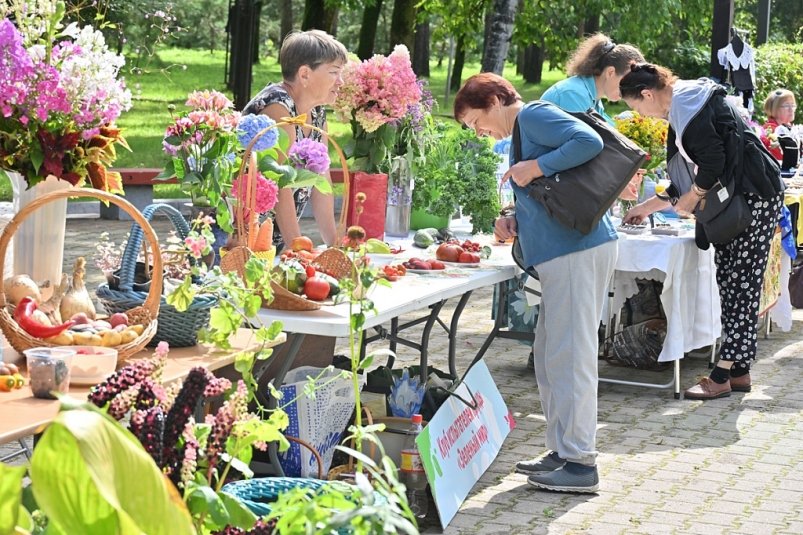 Тематическое фото Пресс-служба мэрии Хабаровска