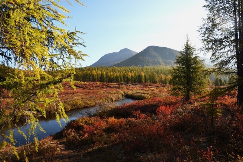 Лучшие фотографии Магадана за неделю Людмила Шубина