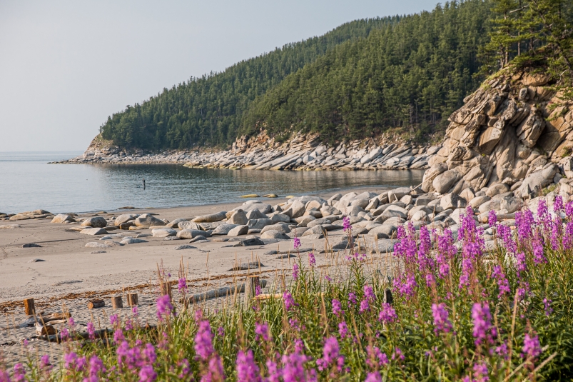 природа, Шантарские острова, Шантары, Охотское море, Хабаровский край, Дальний Восток Мария Смитюк, ИА PrimaMedia