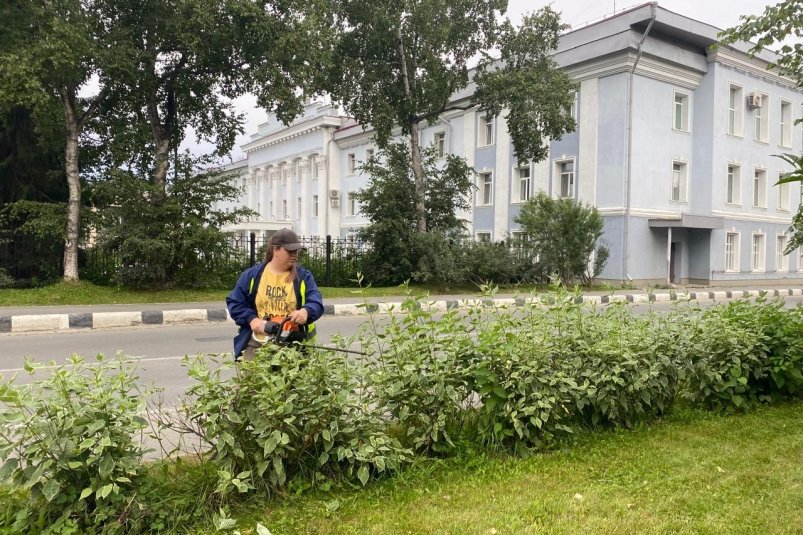 Благоустройство Южно-Сахалинска пресс-служба администрации Южно-Сахалинска