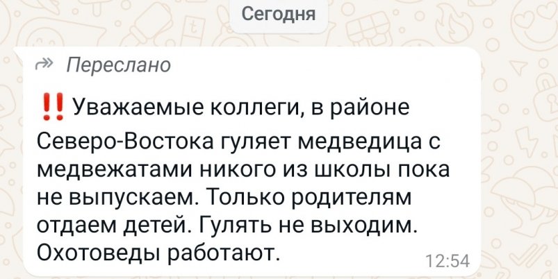 Сообщения из родительских чатов школы № 42 Петропавловска-Камчатского Скрин  ИА KamchatkaMedia