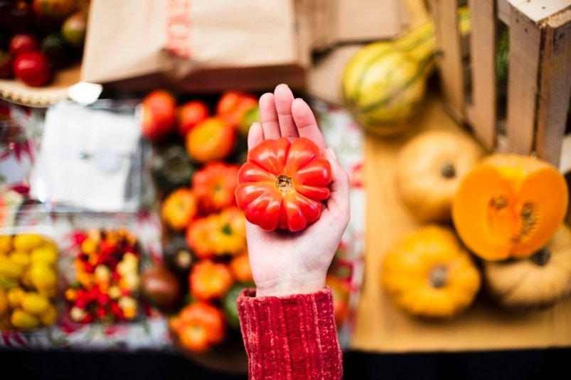 Свежие продукты от кубанских фермеров: в Краснодаре стартовали осенние ярмарки Freepik