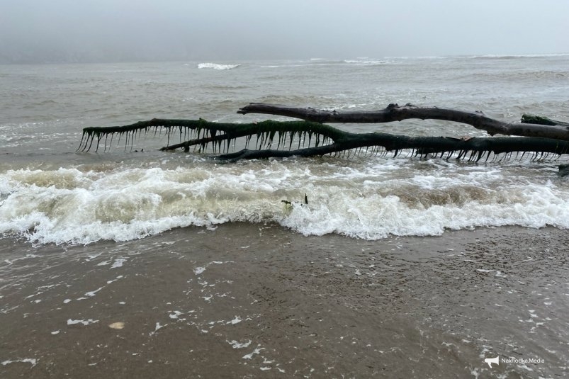 Море в непогоду Анна Франц