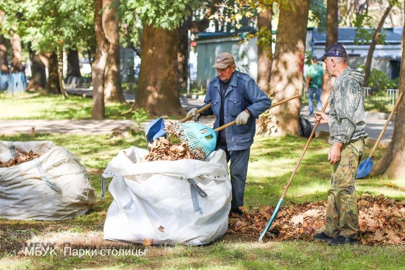 Более 590 кубометров мусора собрали сотрудники парка в Симферополе Парки столицы