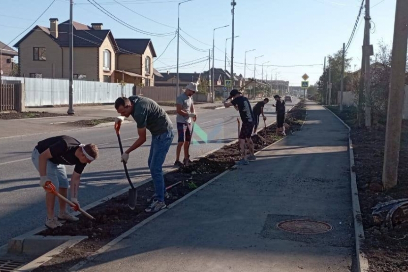 В Краснодаре продолжается осенняя высадка деревьев t.me/zhkhkrasnodar