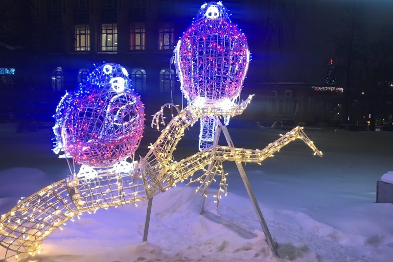 Птицы, украшение, Новый год Артем Дубенчук