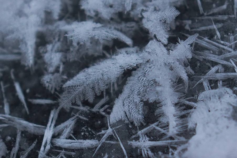 В ближайшие сутки температура воздуха в Якутии опустится до -50° Анастасия Москалёва, ИА ChitaMedia