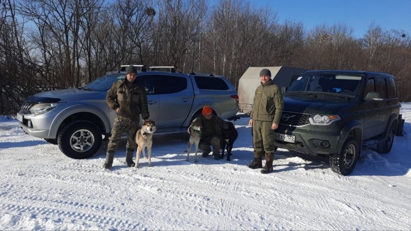 В Приморье ищут медведя, убившего человека Министерство природы Приморского края