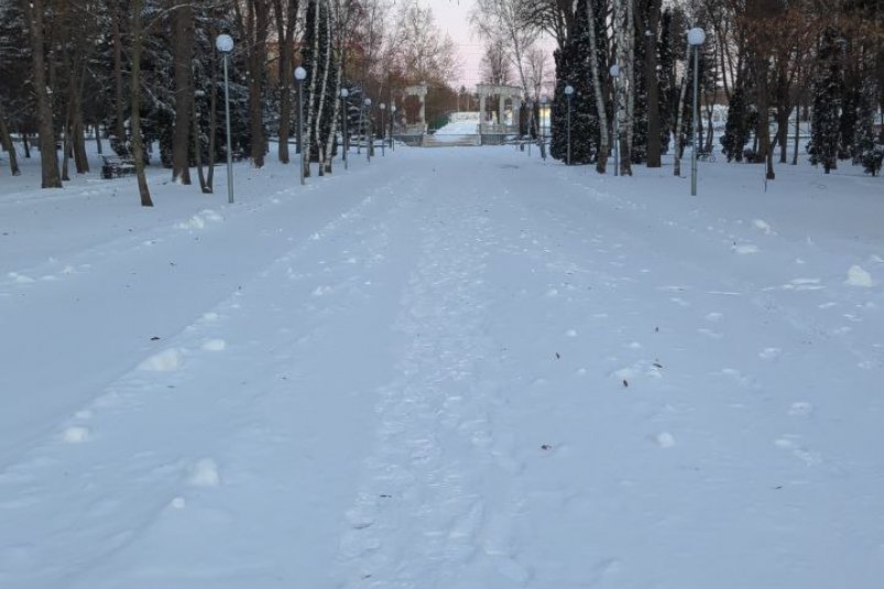 Глава города показал фото снега в парке Соцсети В. Крутникова