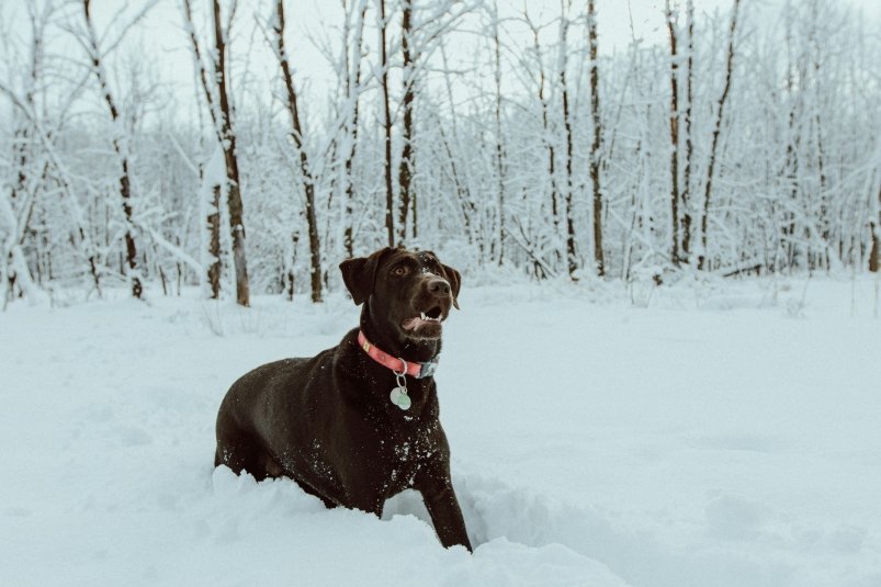 Тематическое фото YBag Media / unsplash