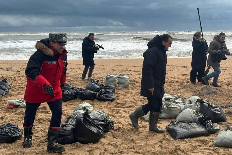 В Сочи привезут птиц, сильно пострадавших от разлива мазута в Анапе t.me/kondratyevvi