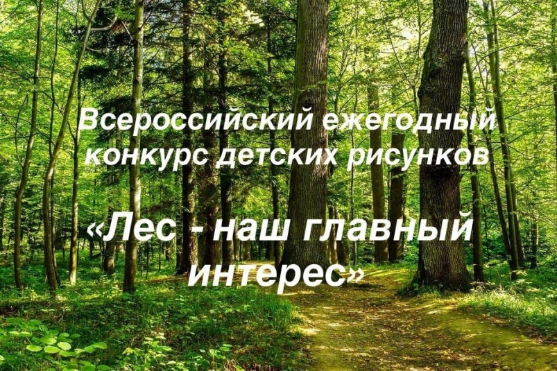 На Камчатке наградили призёров и участников конкурса детских рисунков  "Лес — наш главный интерес" Официальный сайт Камчатского края