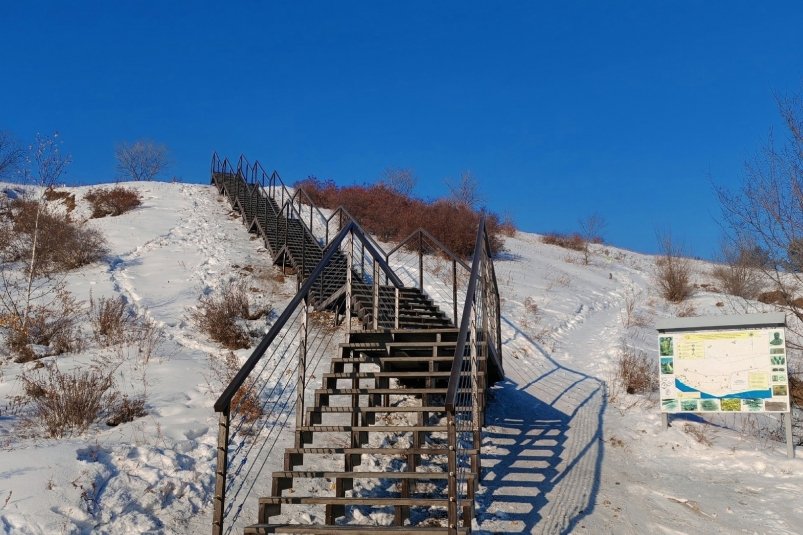 Лестница в парке Сухотино группы парка