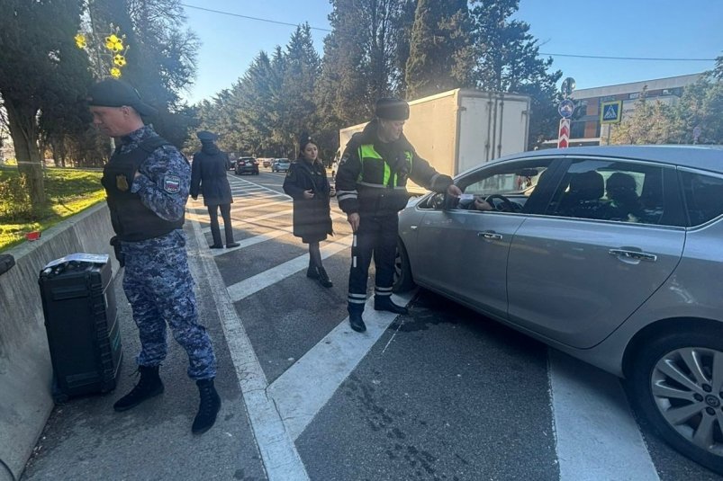 В Сочи должников на дорогах ловят с помощью искусственного интеллекта пресс-служба администрации Сочи