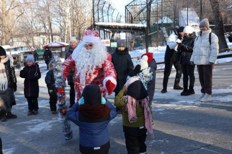 Новогодние мероприятия для детей участников СВО провели в зоосаде Хабаровска Зоосад "Приамурский" им. В. П. Сысоева