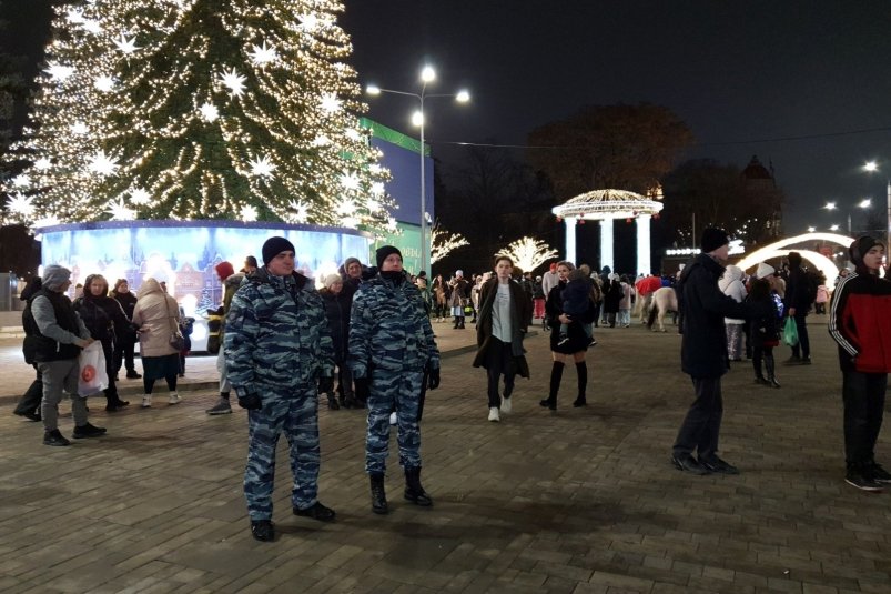 Охранять порядок на Дону в новогодние праздники будут почти 5 тысяч человек Пресс-служба правительства Ростовской области