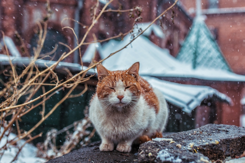 Тематическое фото Мария Смитюк, ИА PrimaMedia