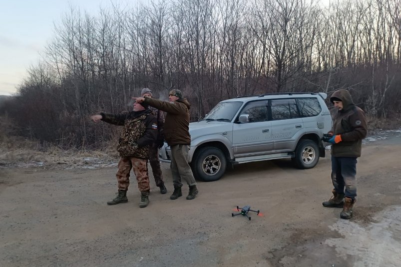 В Приморье тигра, сбитого на трассе, разыскивают с помощью квадрокоптера Дина Матюхина