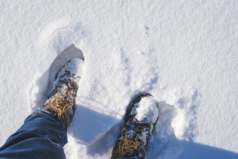 Тематическое фото Feet of snow / unsplash