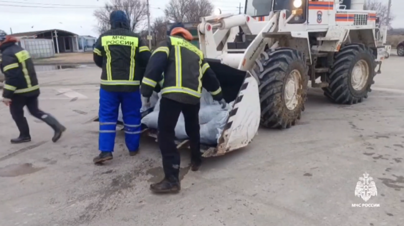 Более 650 км береговой линии обследовали в Крыму после разлития мазута МЧС России