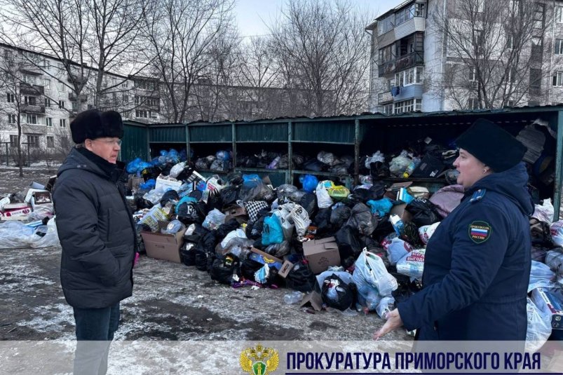 Мусор в Дальнегорске до вмешательства прокуратуры Пресс-служба прокуратуры Приморского края