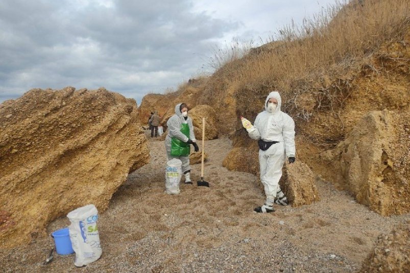 Спасатели и волонтеры ликвидируют последствия выброса мазута в Севастополе Соцсети губернатора Севастополя Михаила Развозжаева