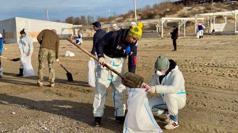 Краснодарские спасатели и добровольцы за сутки вывезли с побережья Анапы 320 кубометров мусора Администрация Краснодара